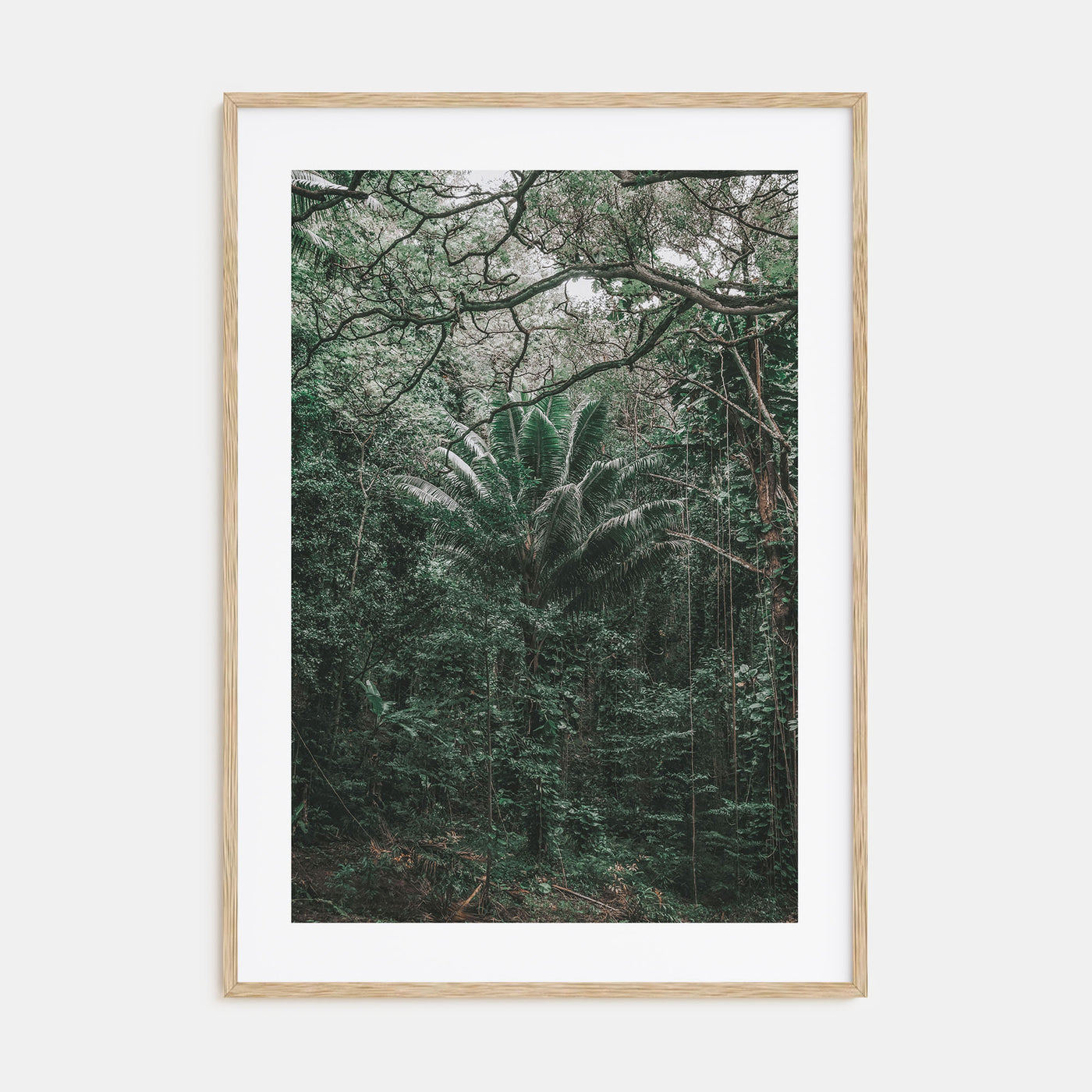 O‘ahu Photo Color No 3 Poster