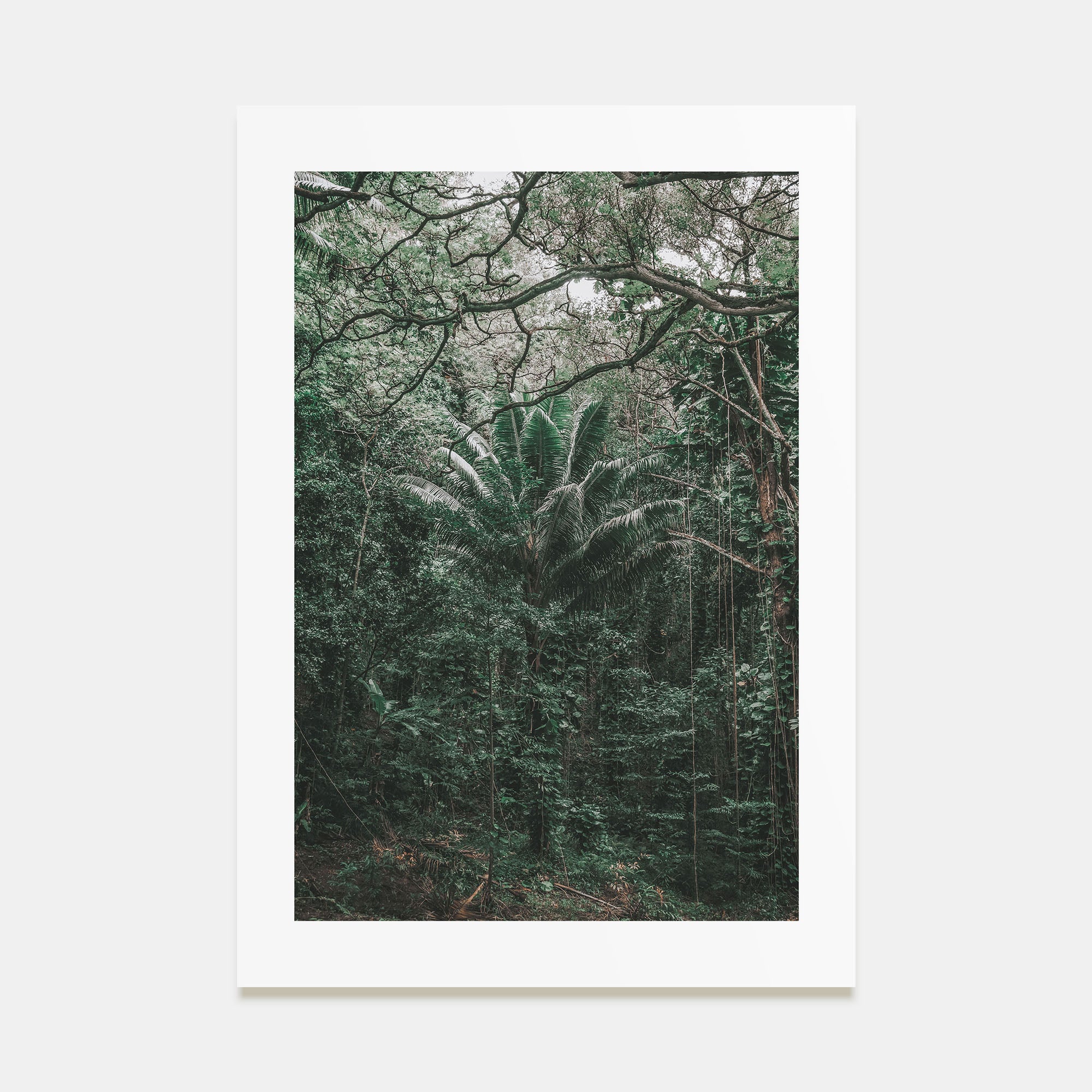 O‘ahu Photo Color No 3 Poster