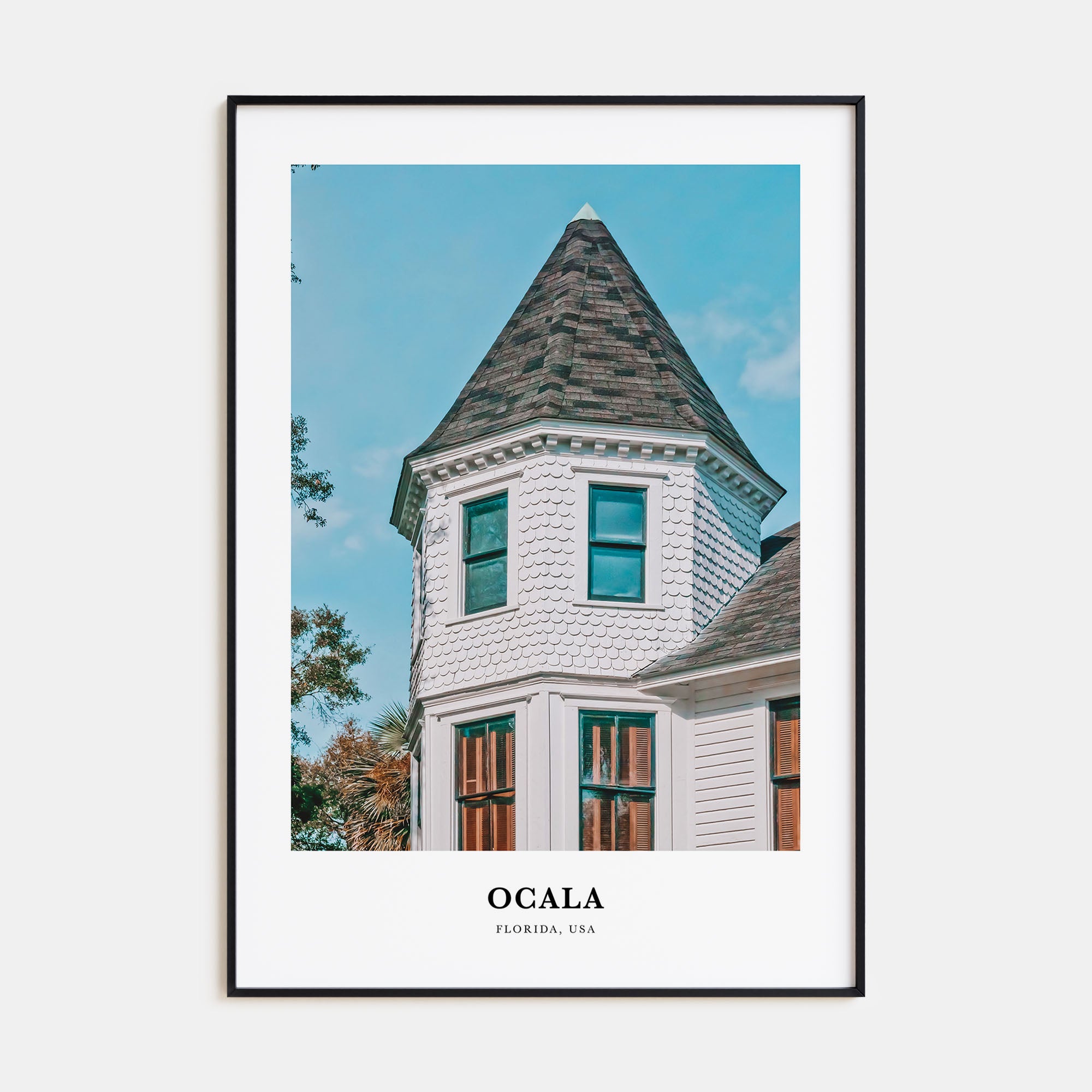 Ocala Portrait Color Poster