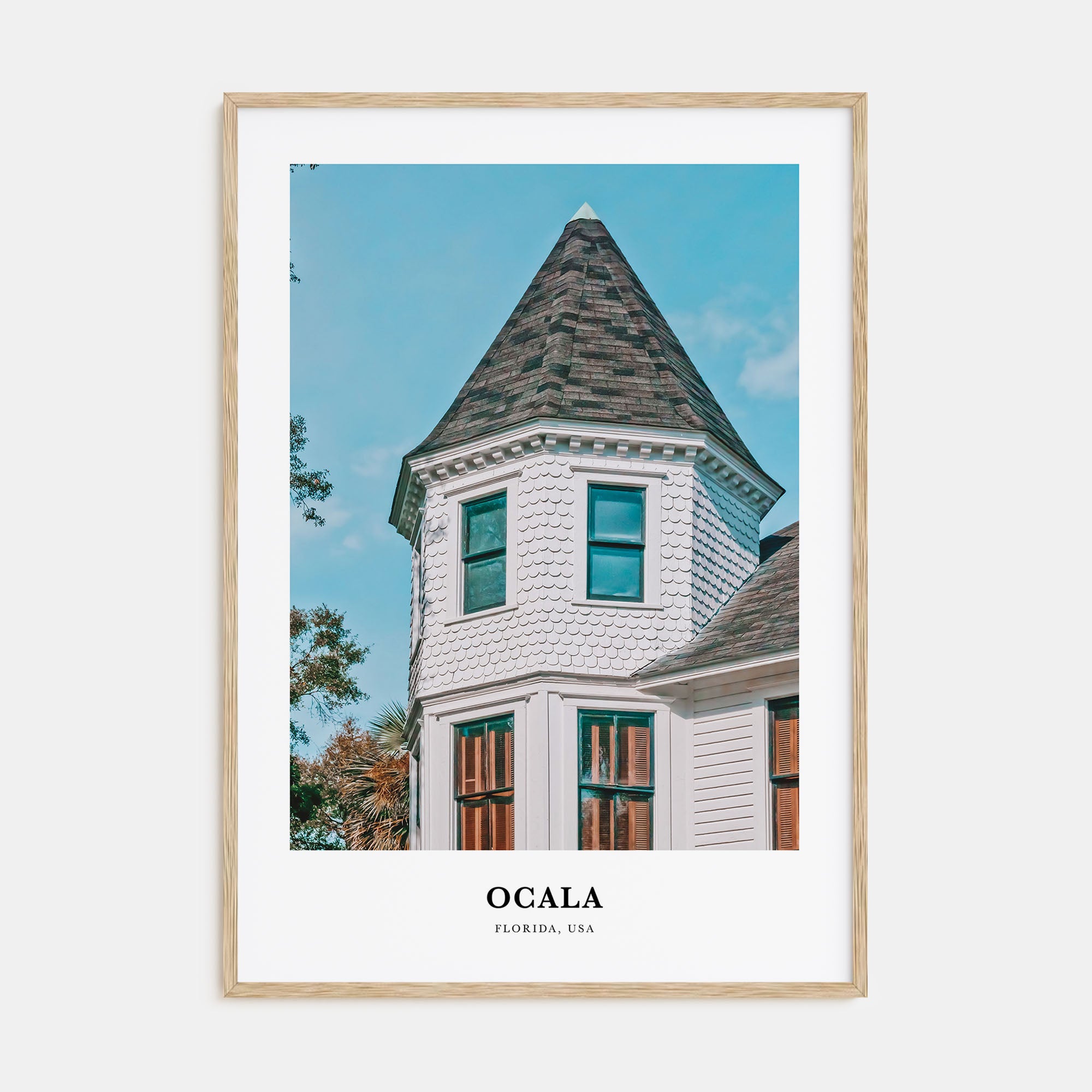 Ocala Portrait Color Poster