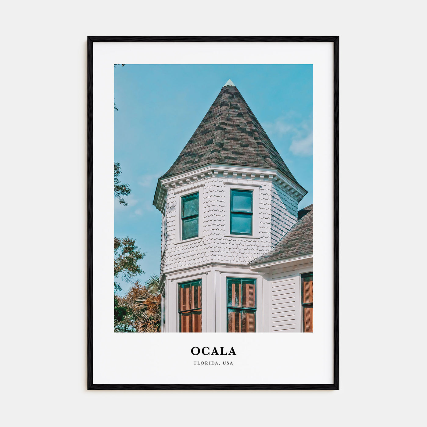 Ocala Portrait Color Poster