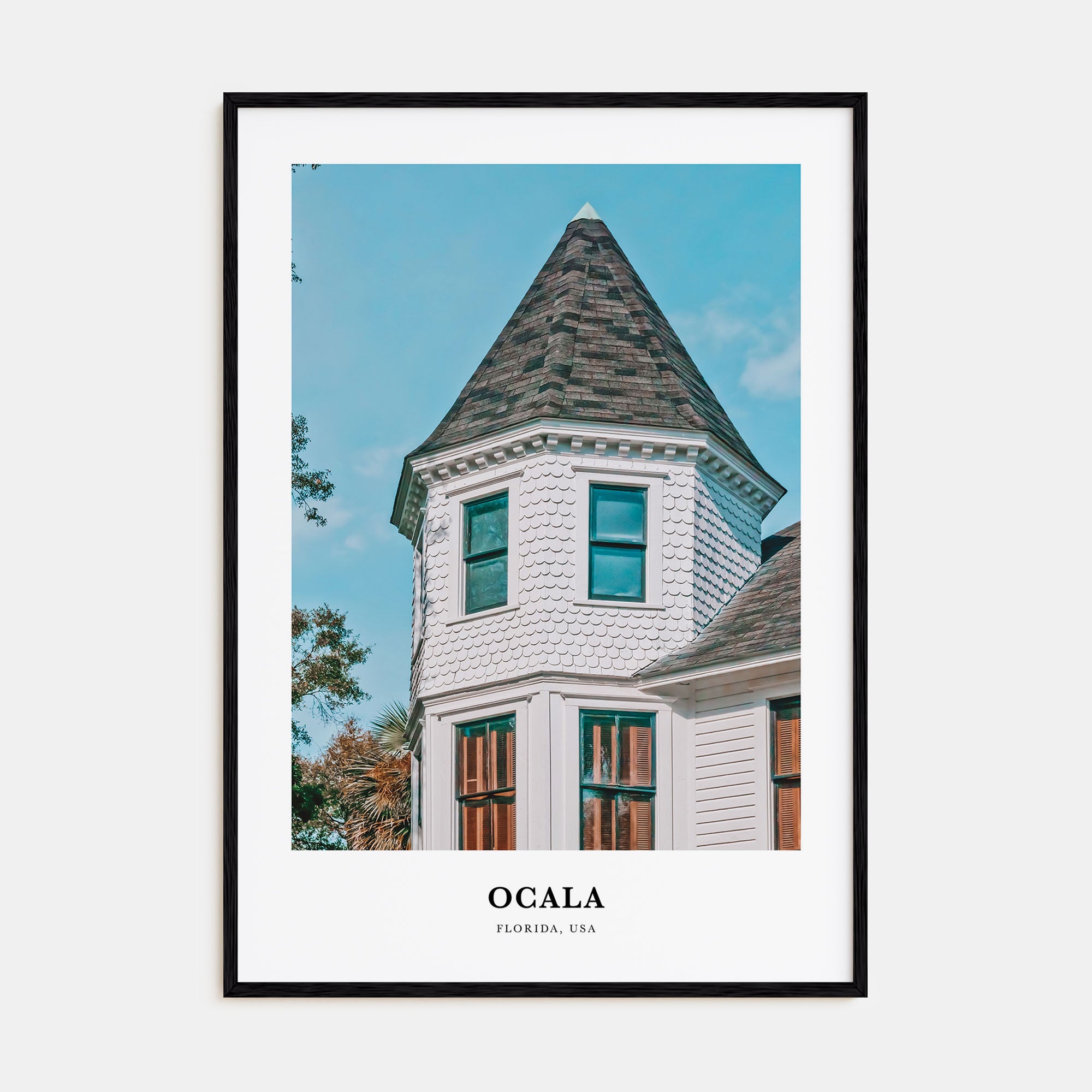 Ocala Portrait Color Poster