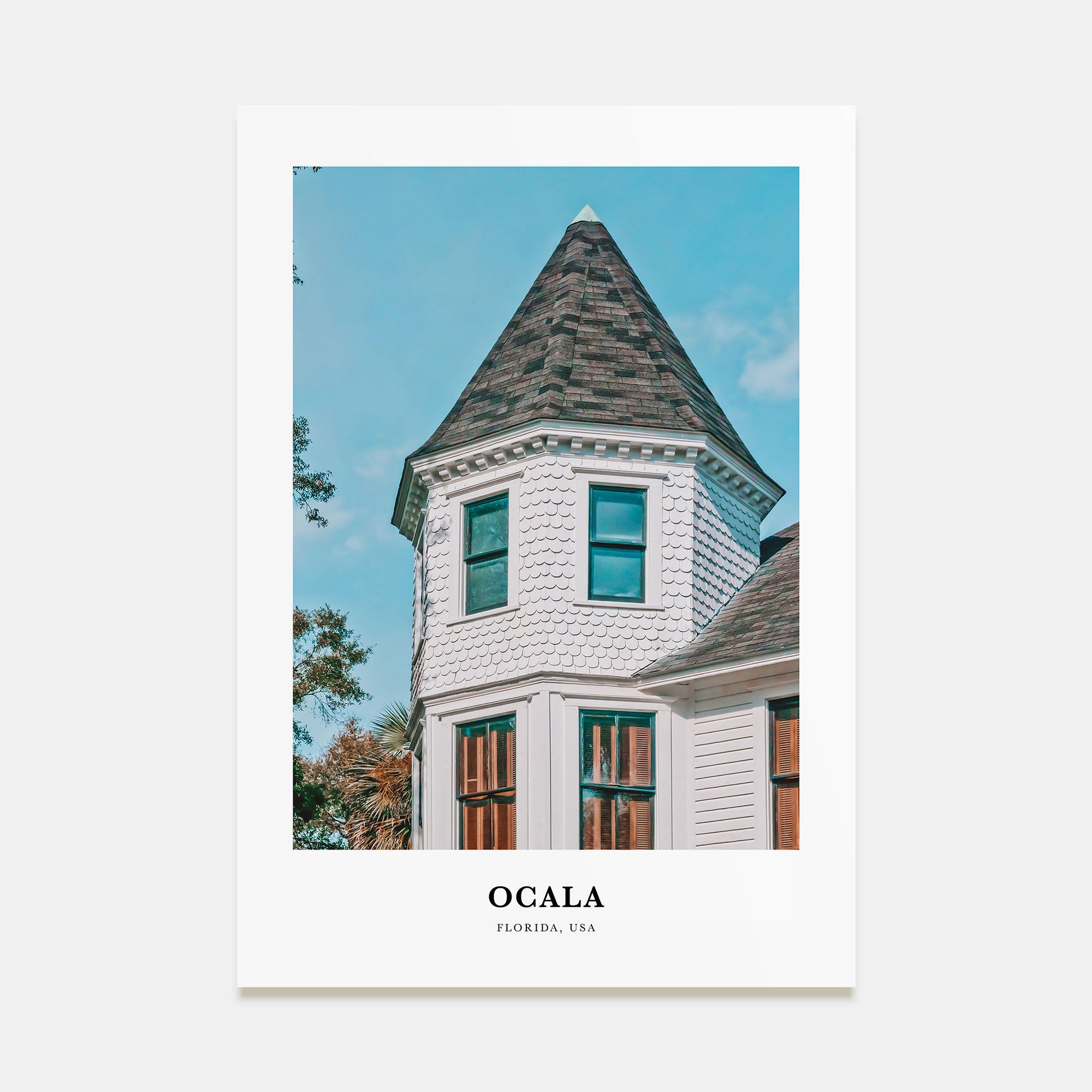 Ocala Portrait Color Poster