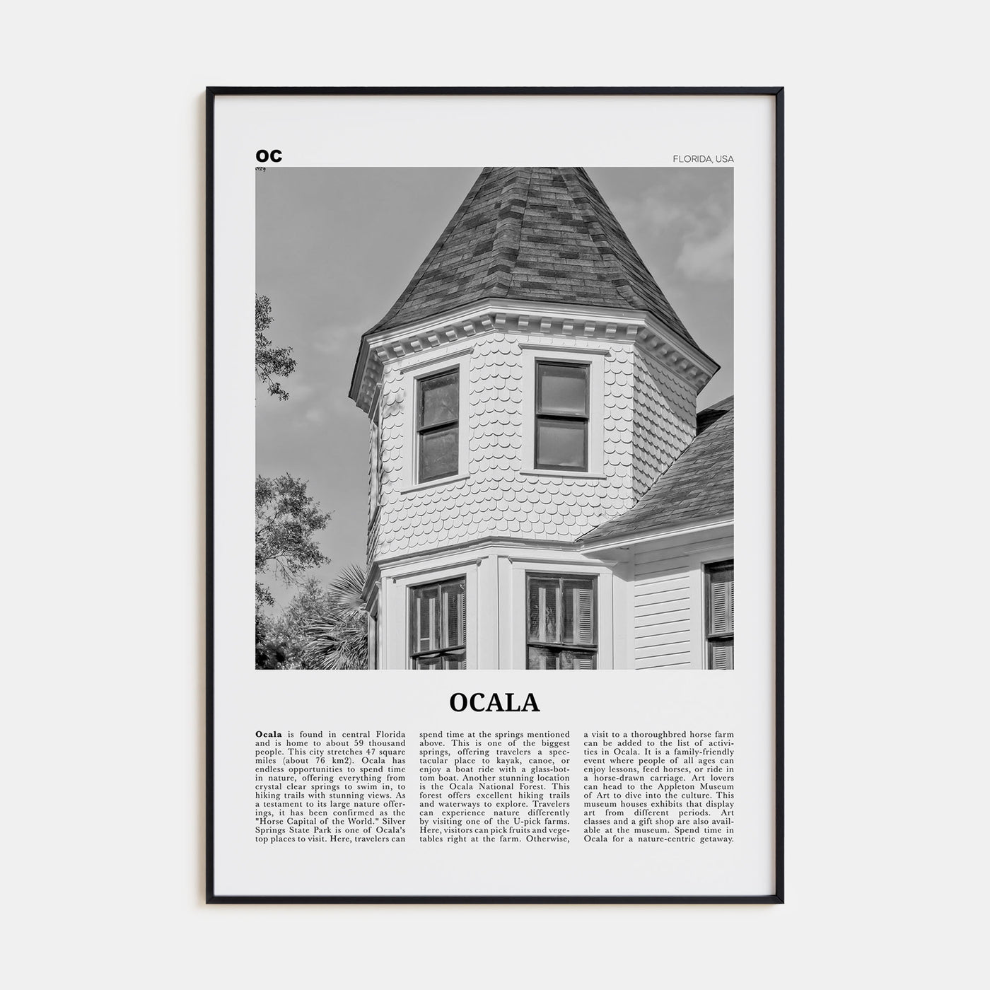 Ocala Travel B&W Poster