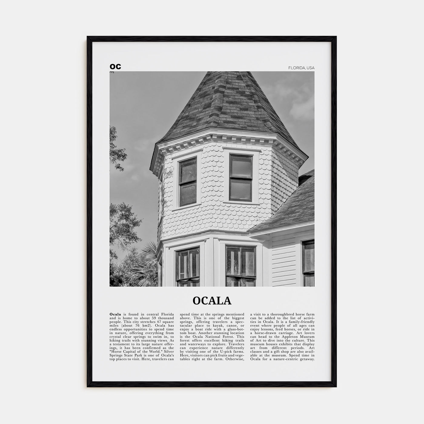 Ocala Travel B&W Poster
