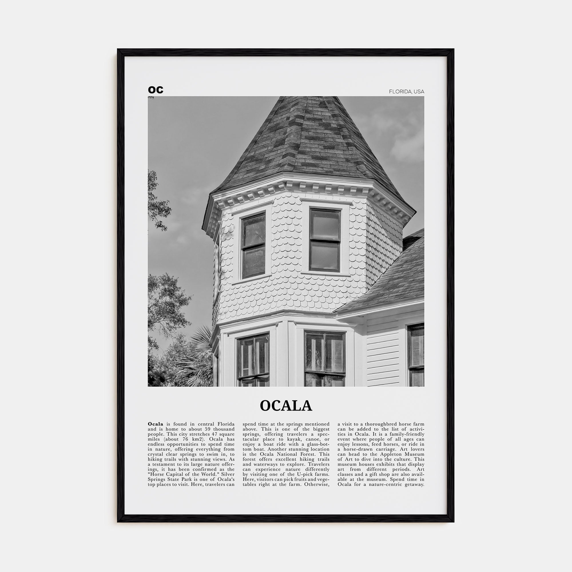 Ocala Travel B&W Poster