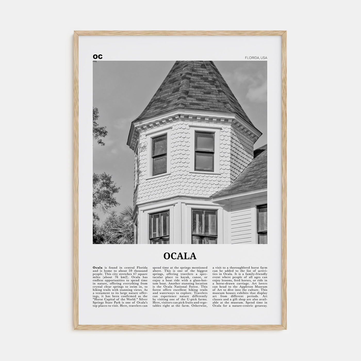 Ocala Travel B&W Poster