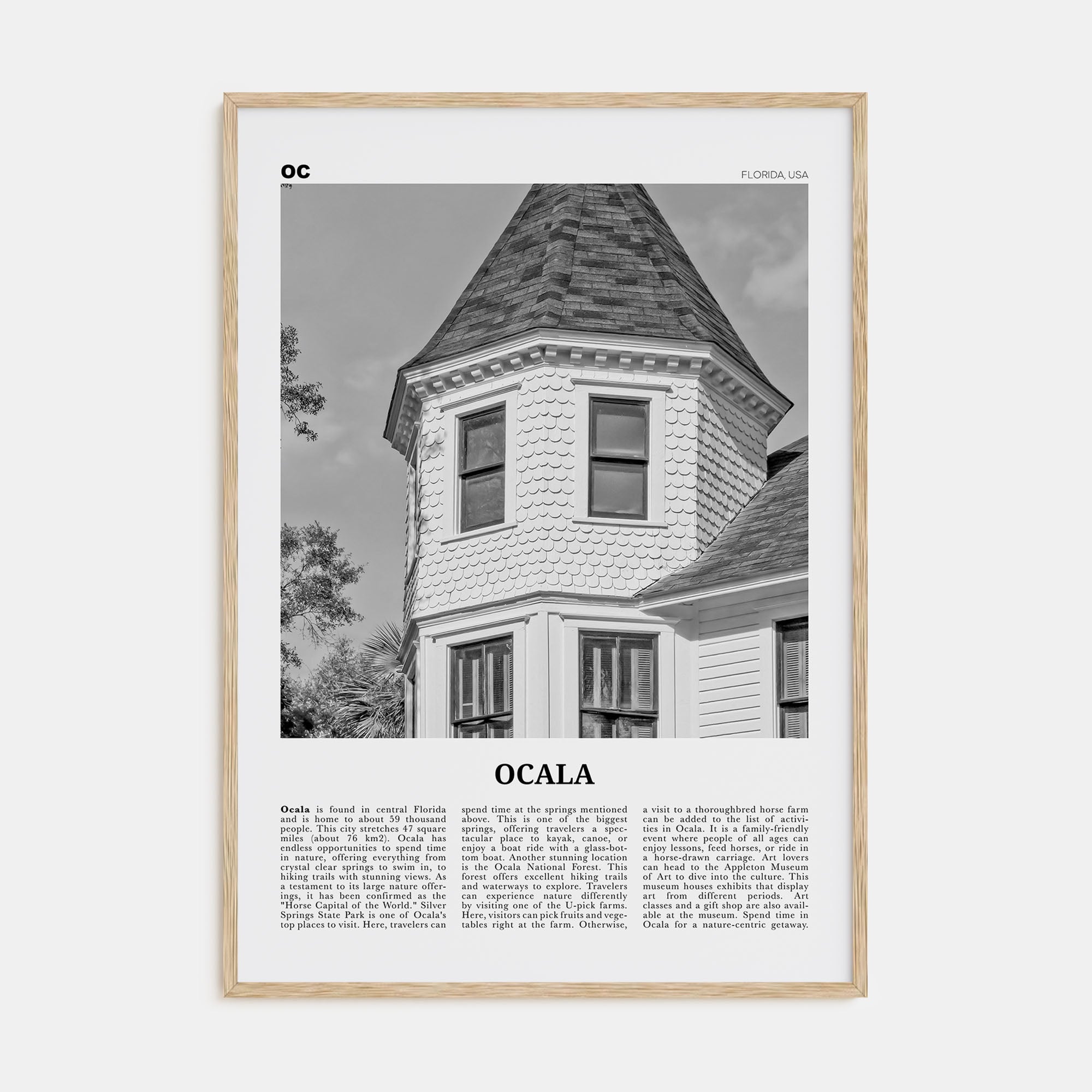 Ocala Travel B&W Poster