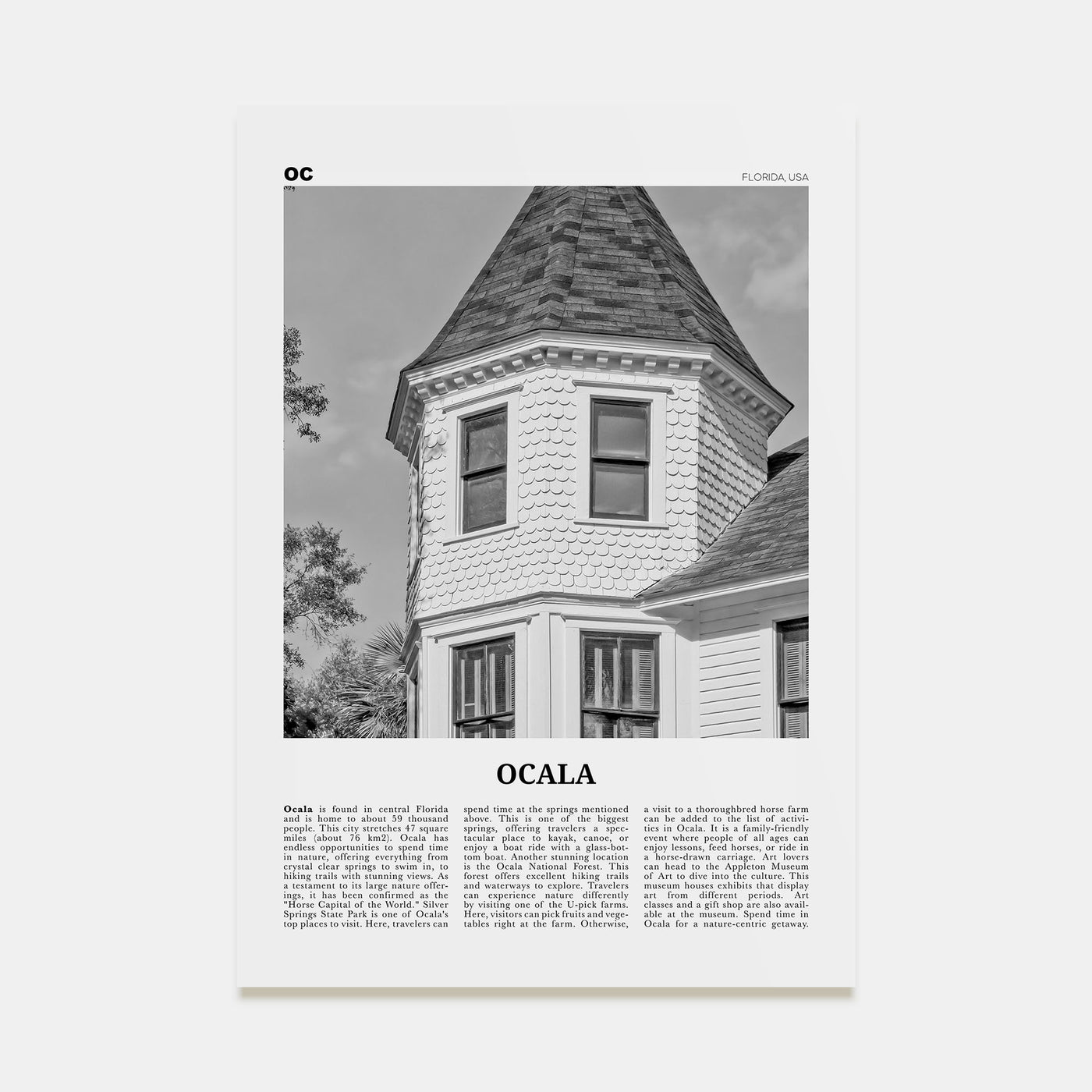 Ocala Travel B&W Poster