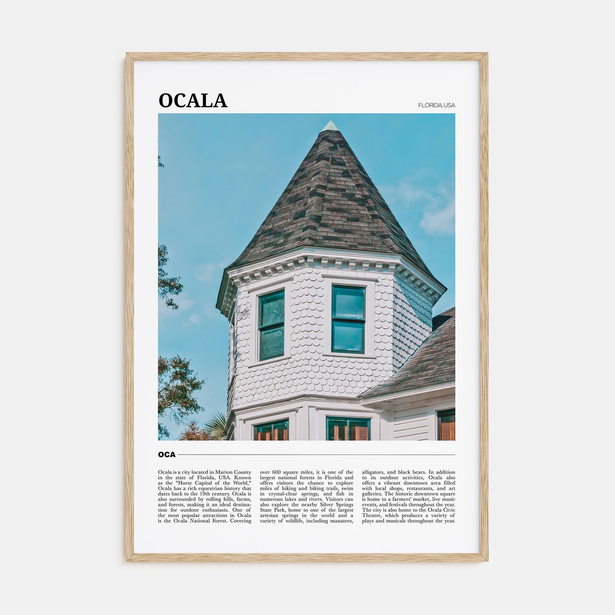 Ocala Travel Color Poster