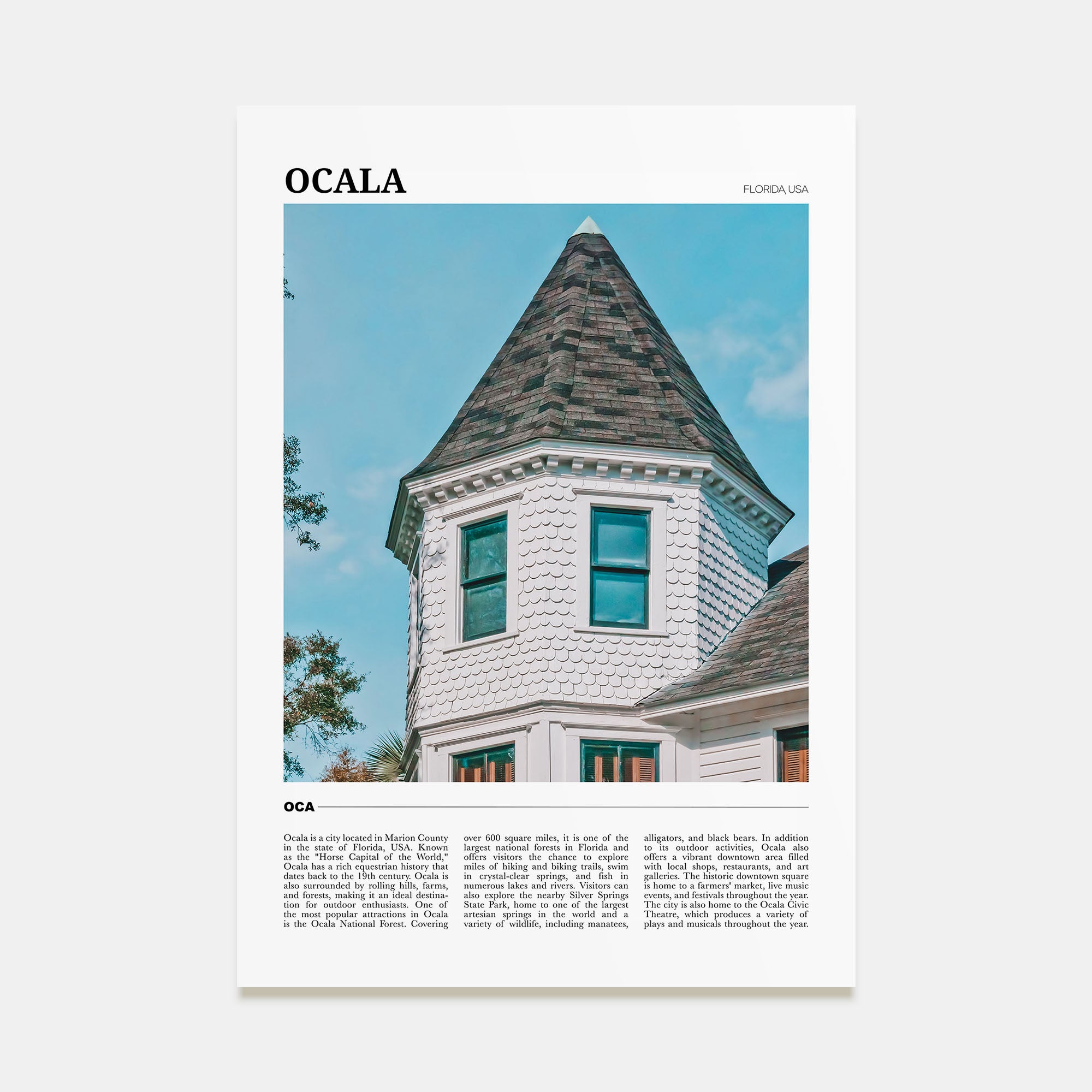 Ocala Travel Color Poster
