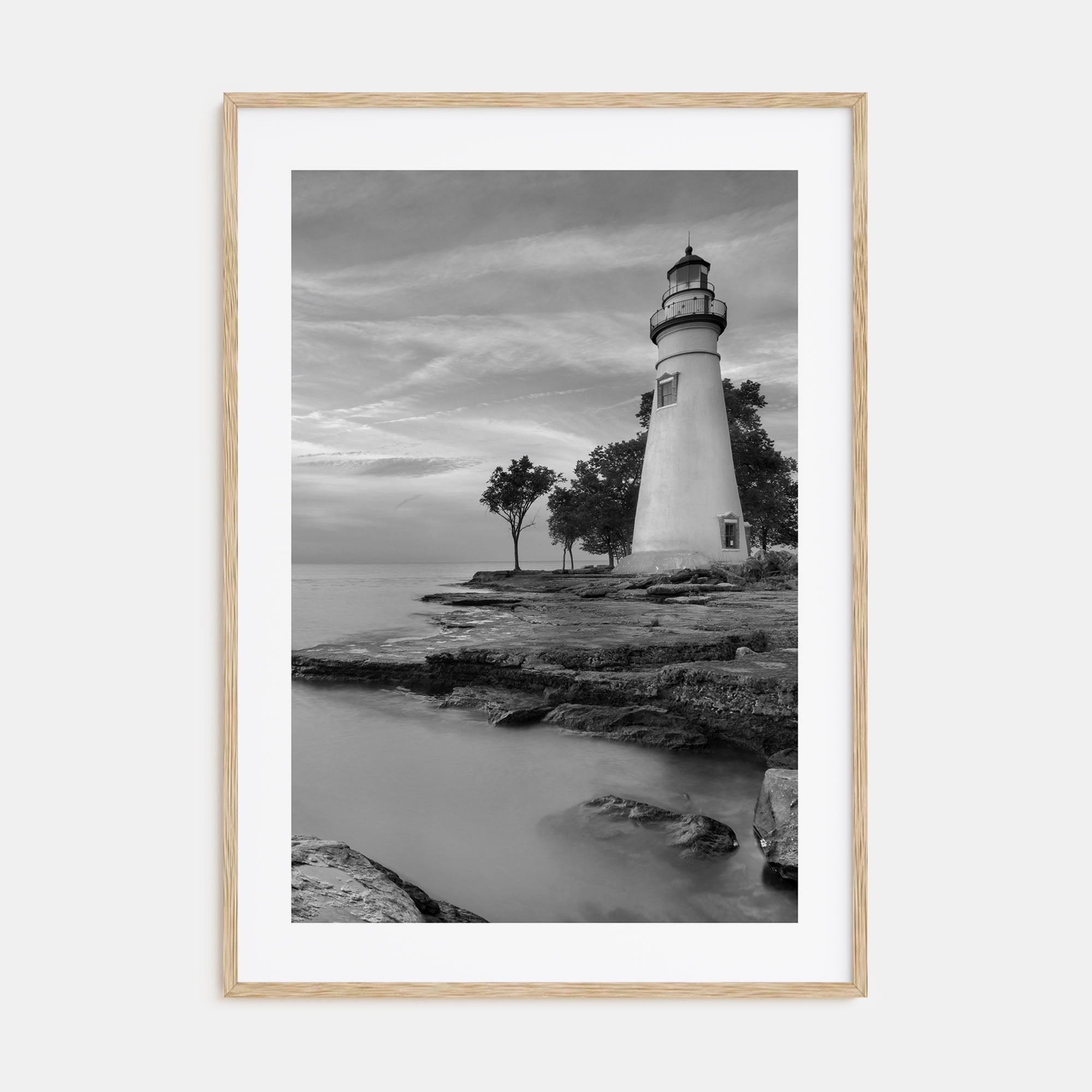 Ohio Photo B&W Poster