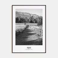 Ojai Portrait B&W Poster