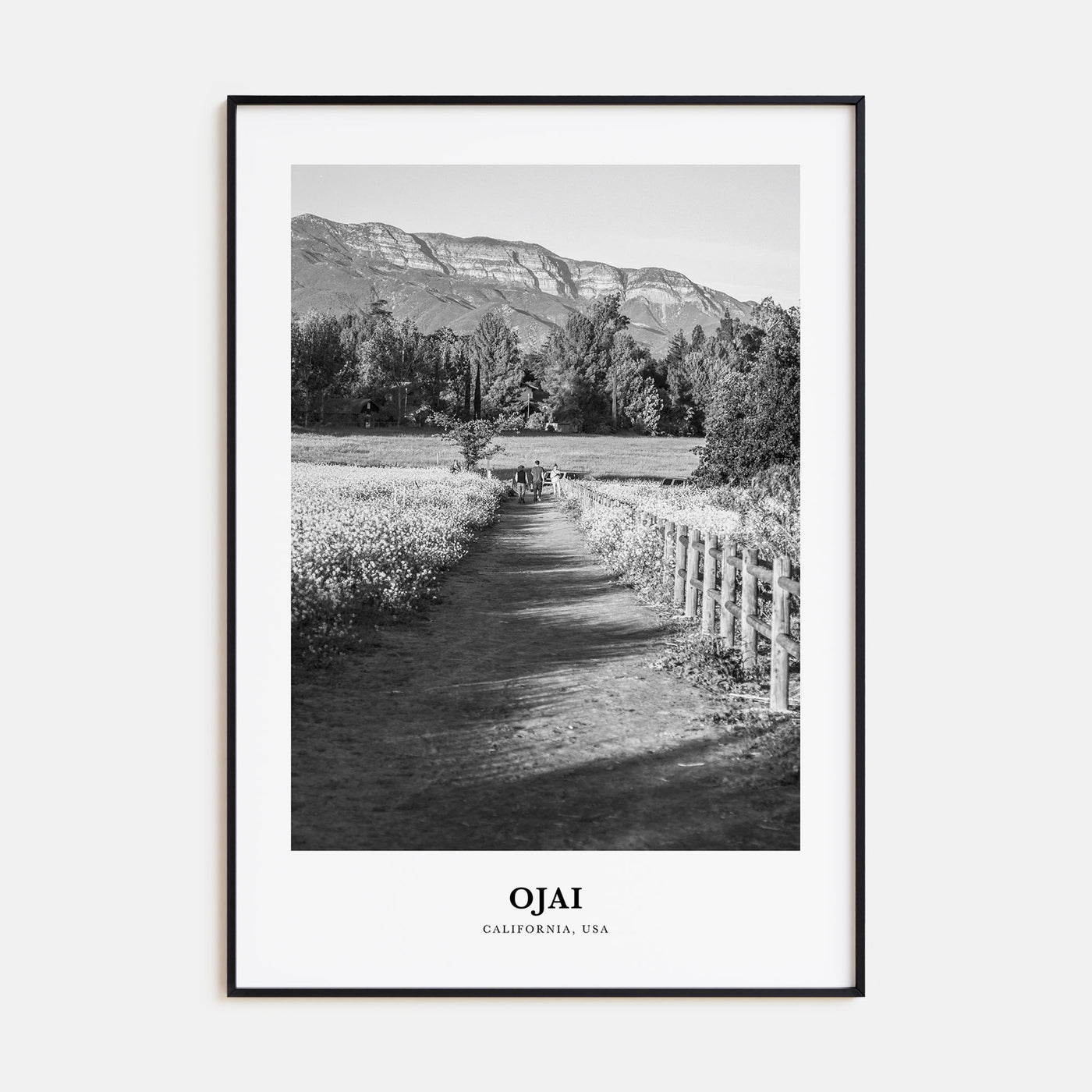 Ojai Portrait B&W Poster