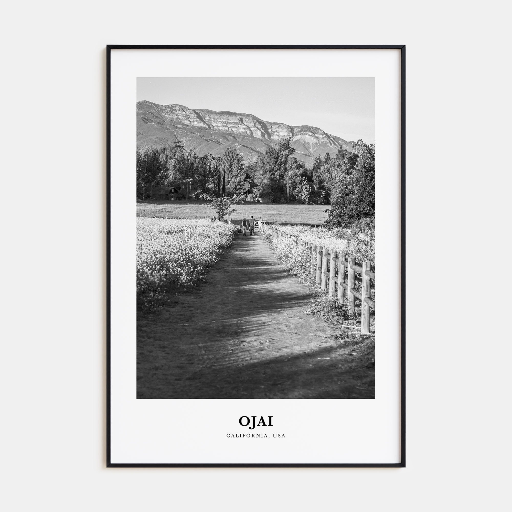 Ojai Portrait B&W Poster