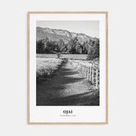 Ojai Portrait B&W Poster