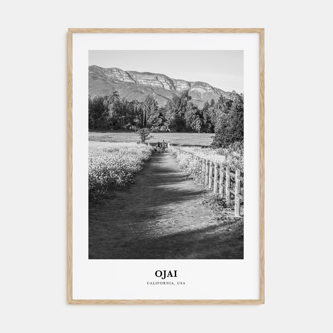 Ojai Portrait B&W Poster
