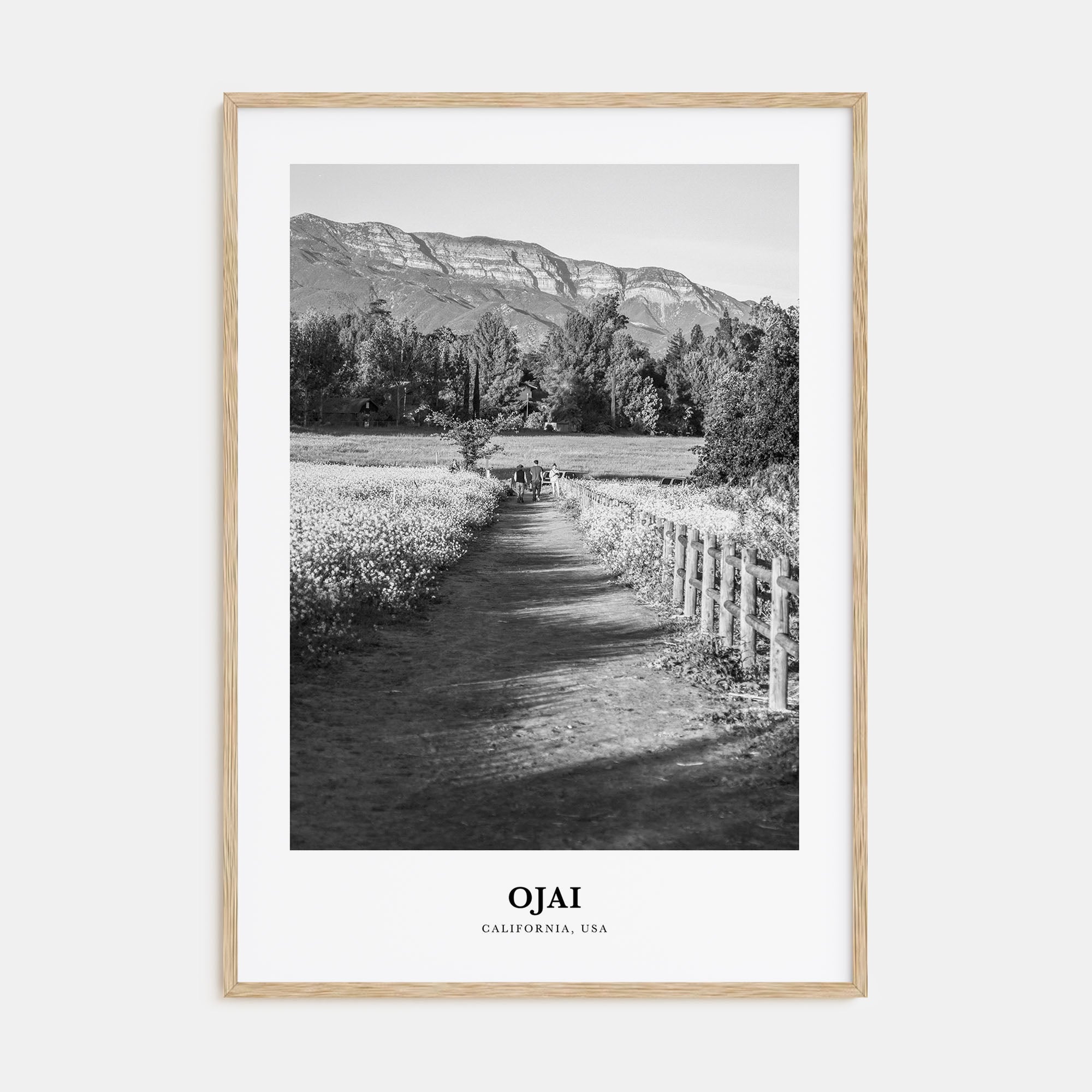 Ojai Portrait B&W Poster