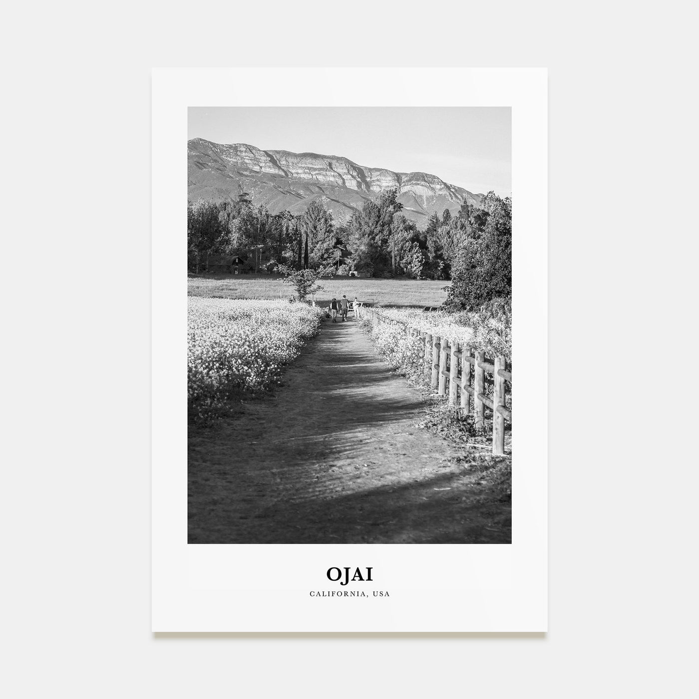 Ojai Portrait B&W Poster