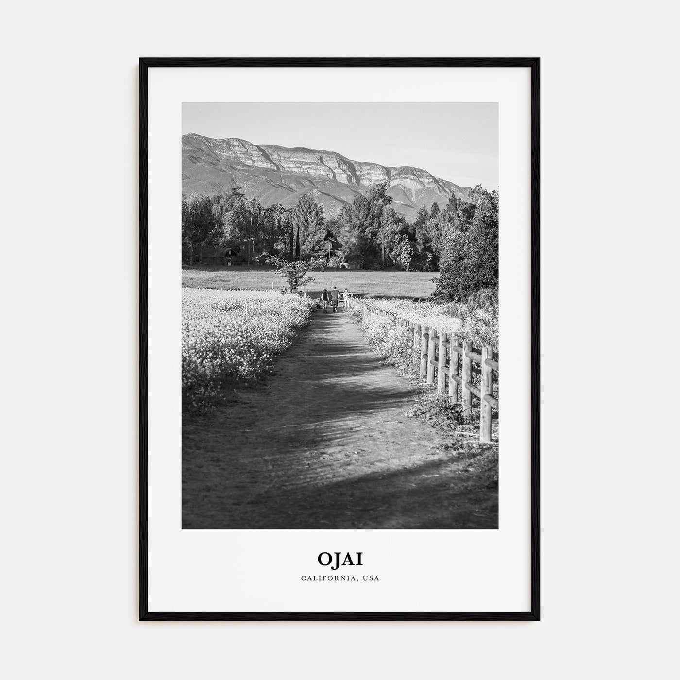 Ojai Portrait B&W Poster