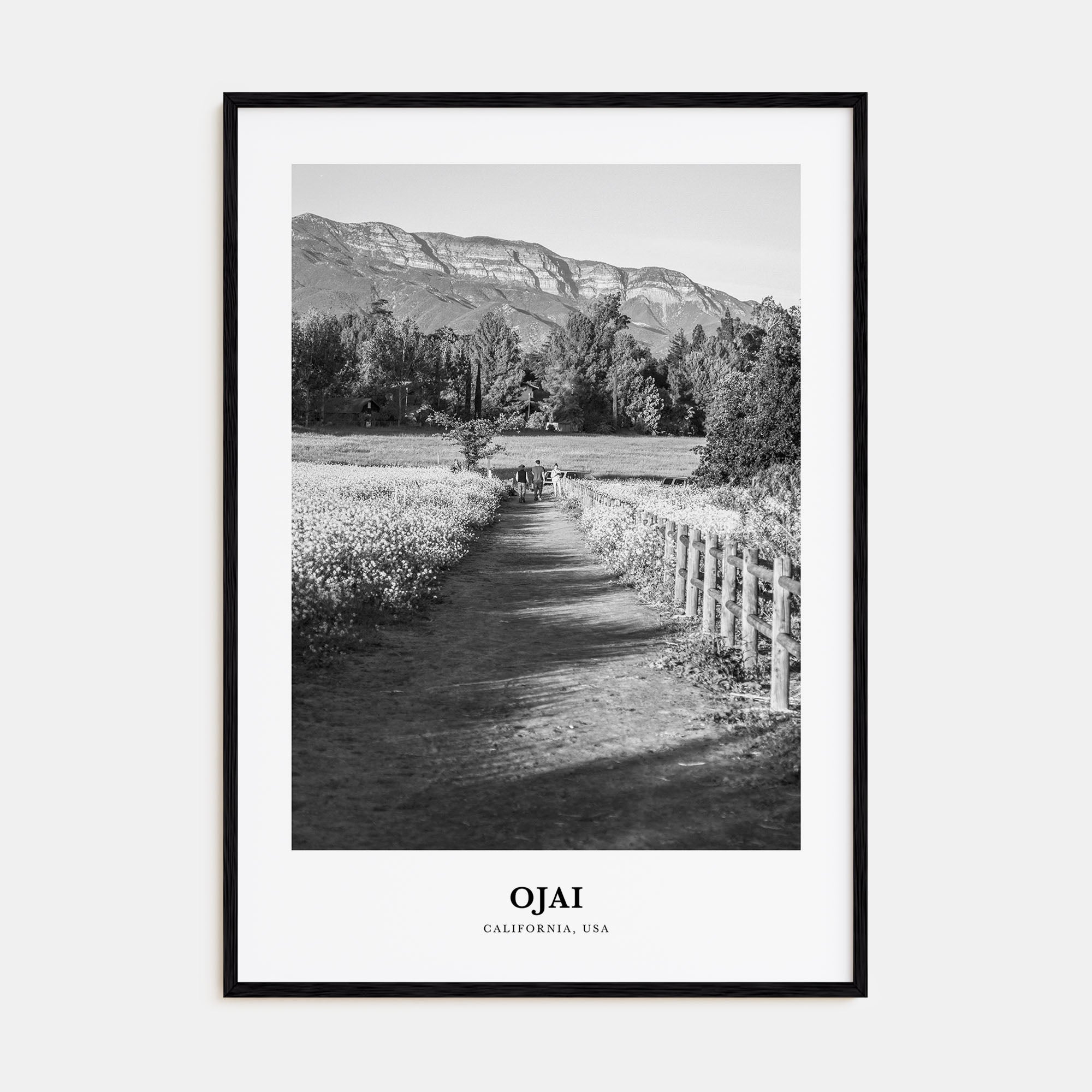 Ojai Portrait B&W Poster