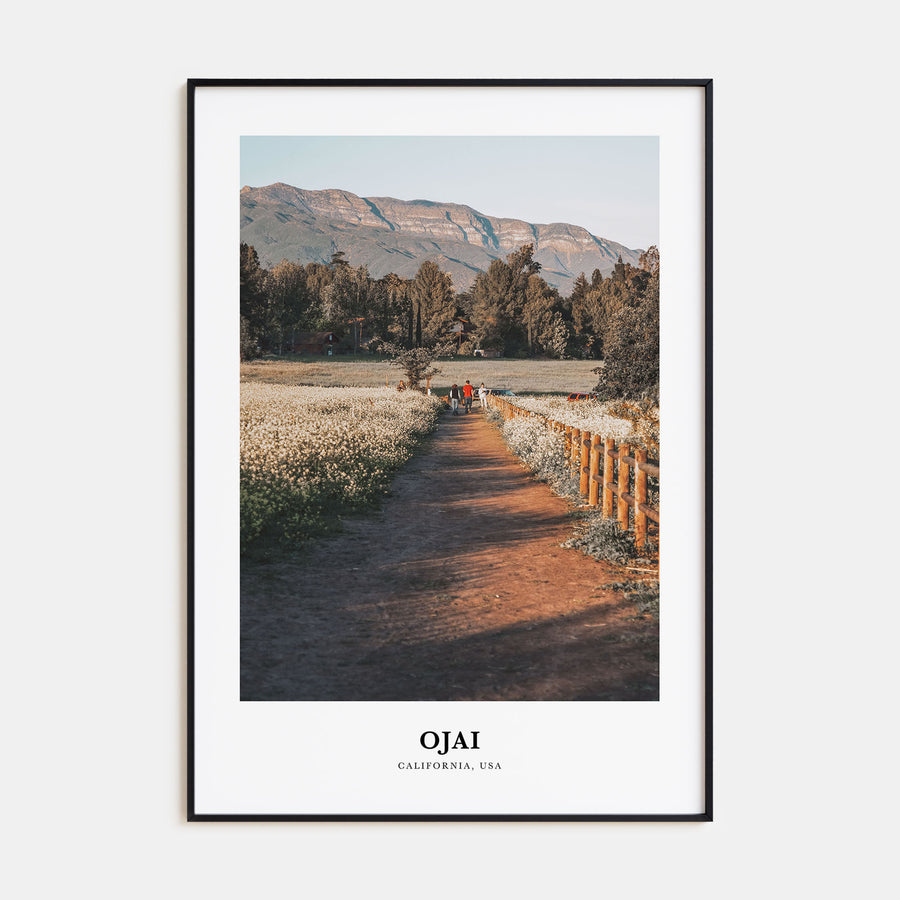 Ojai Portrait Color Poster
