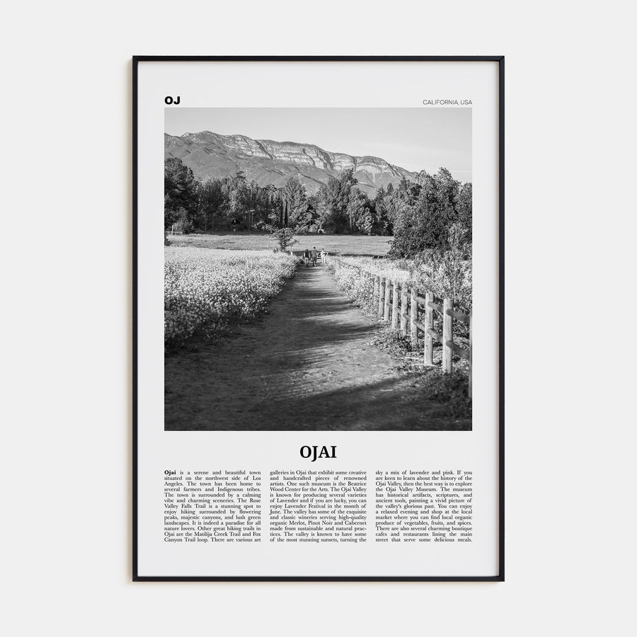 Ojai Travel B&W Poster
