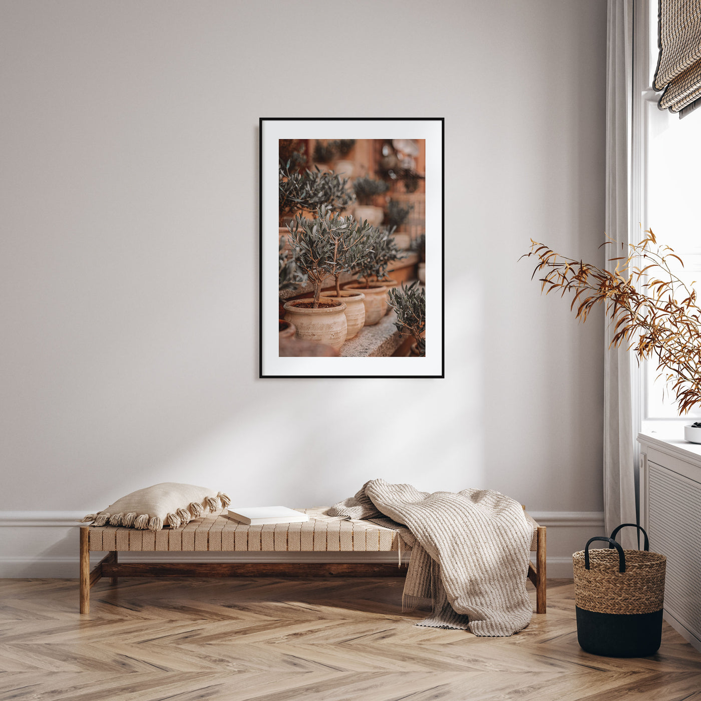 Olive Trees in Clay Pots Photo Color Poster