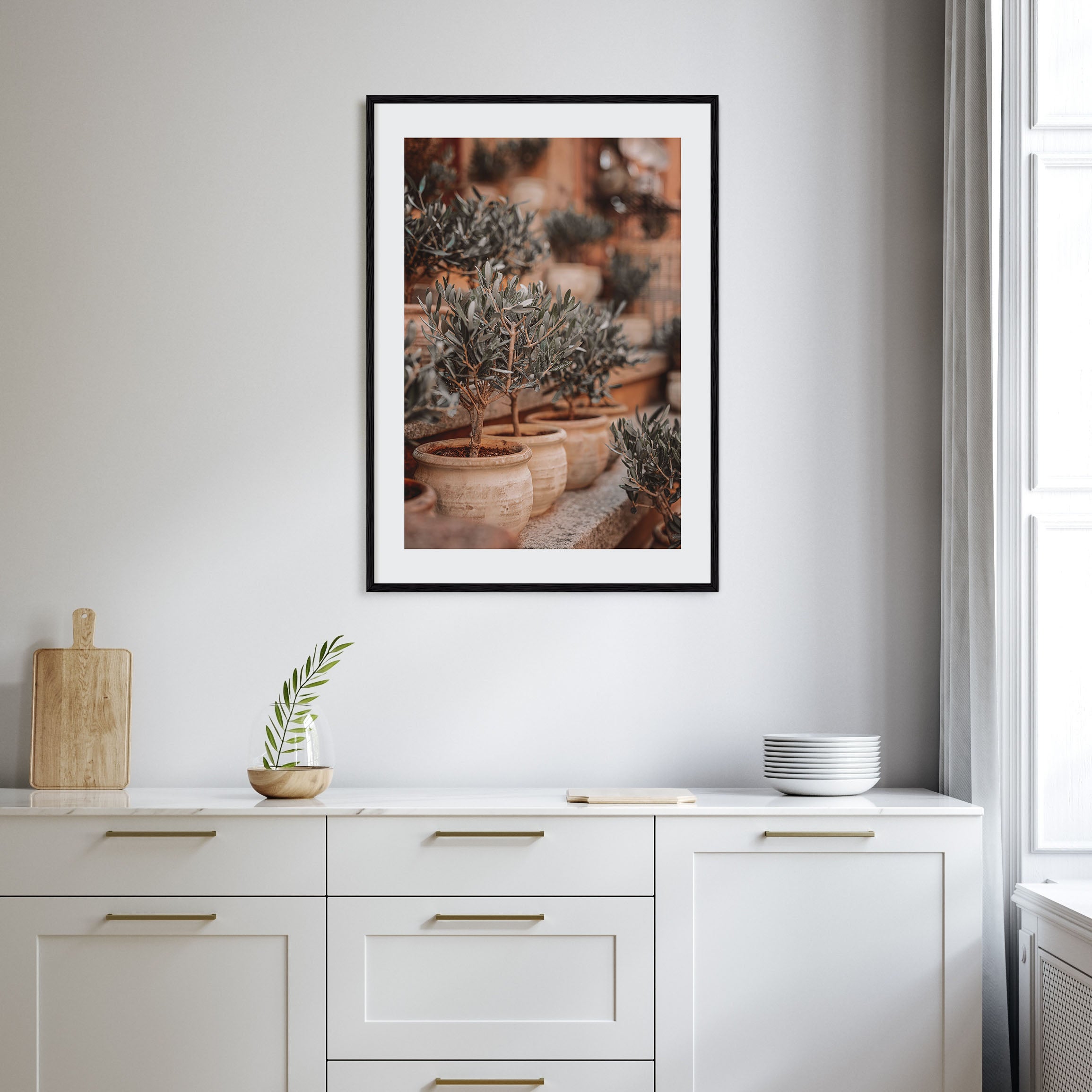 Olive Trees in Clay Pots Photo Color Poster