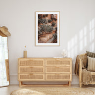 Olive Trees in Clay Pots Photo Color Poster