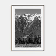 Olympic National Park Photo B&W Poster