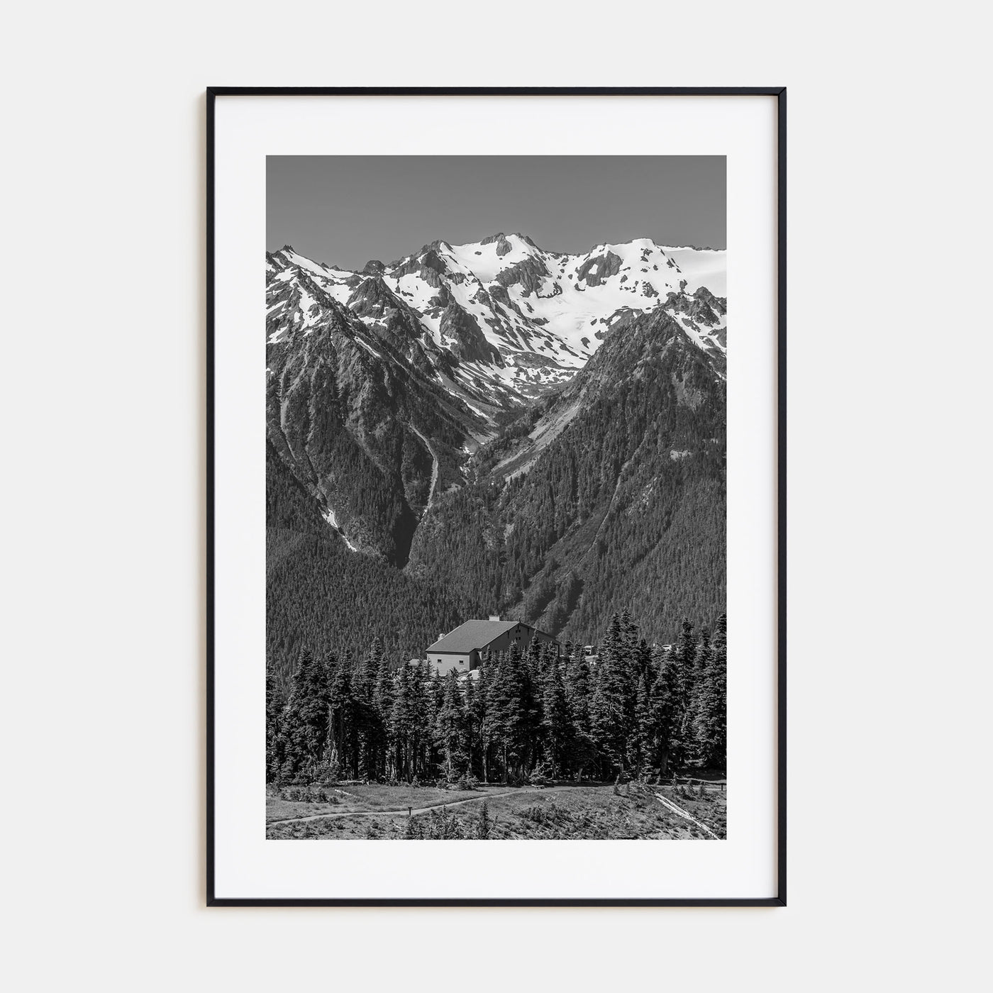 Olympic National Park Photo B&W Poster