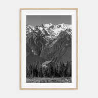 Olympic National Park Photo B&W Poster