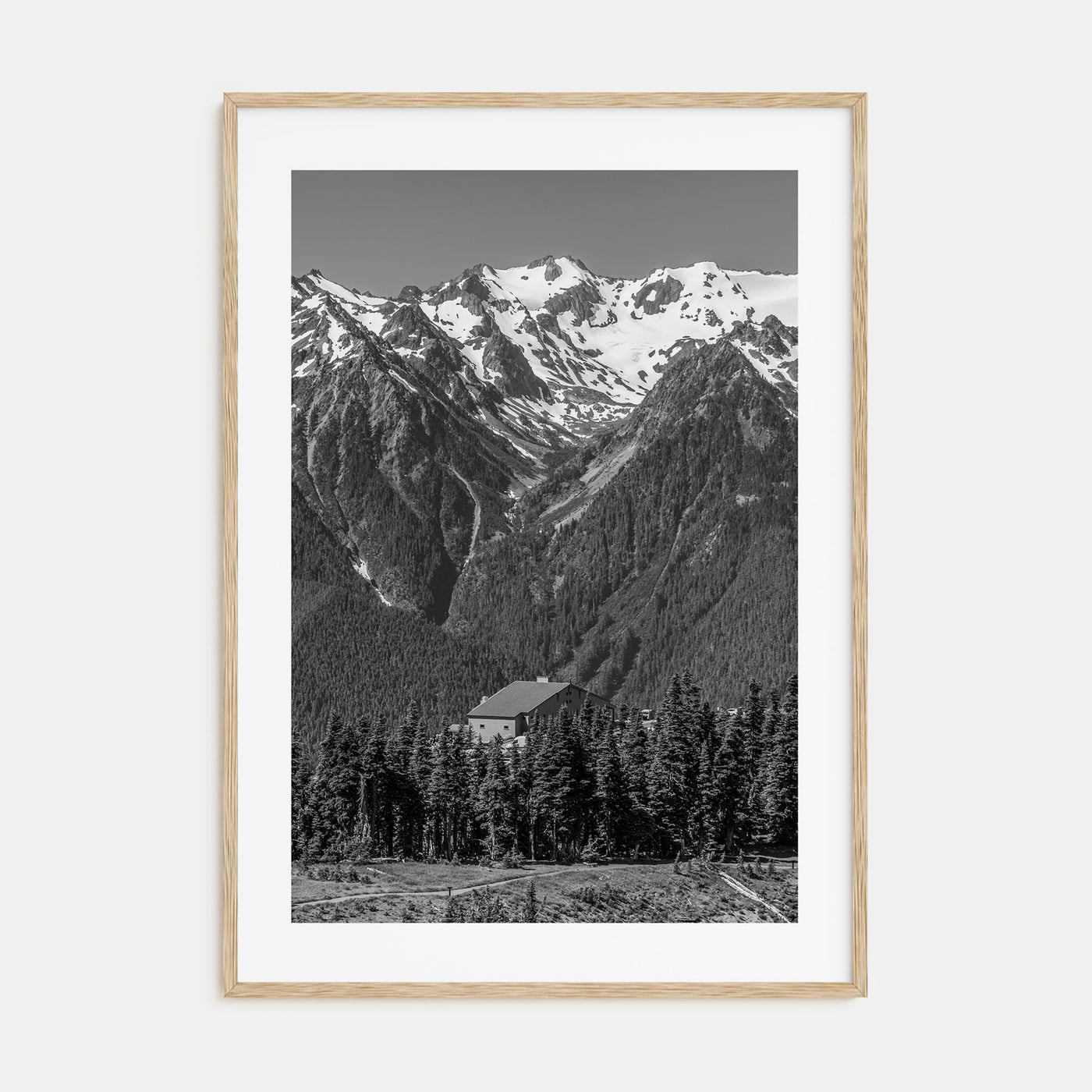 Olympic National Park Photo B&W Poster