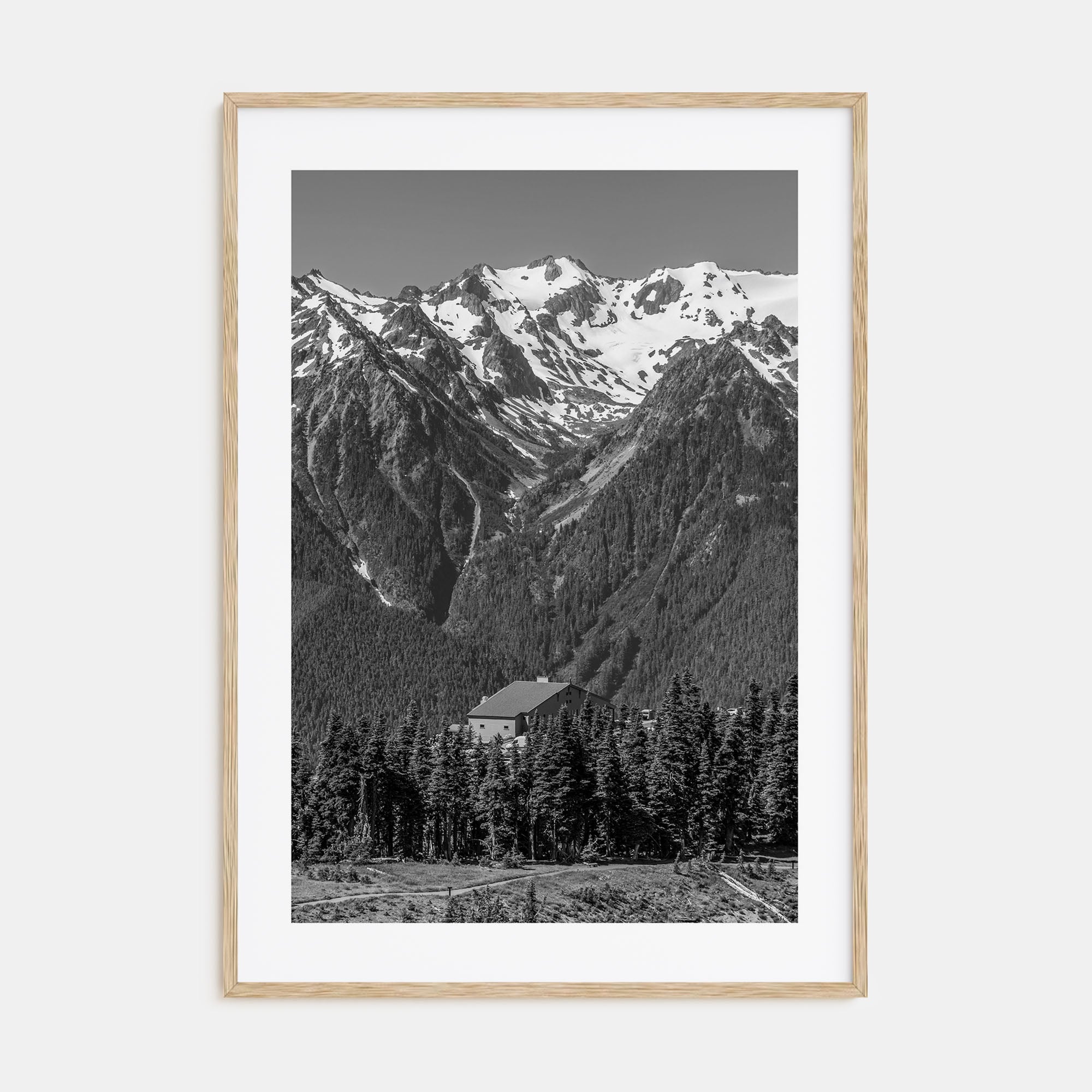 Olympic National Park Photo B&W Poster