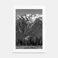 Olympic National Park Photo B&W Poster