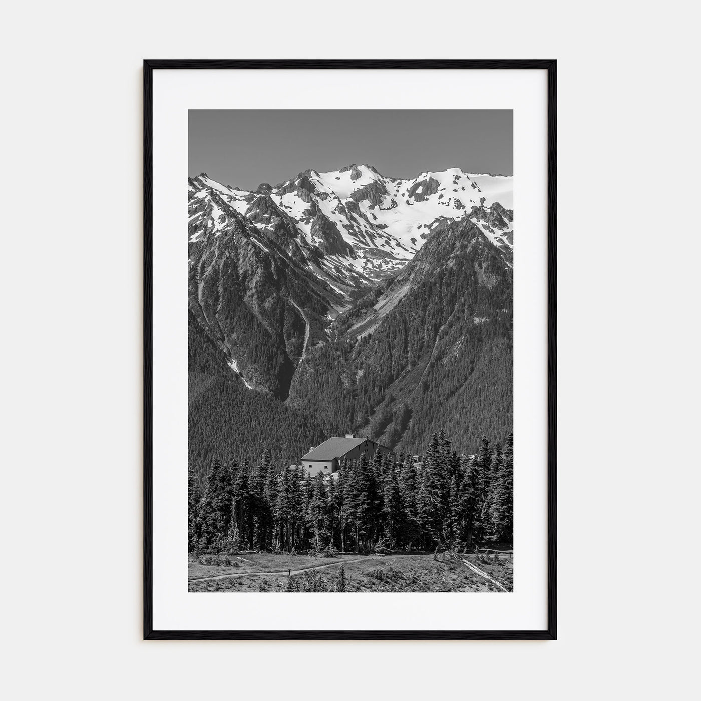 Olympic National Park Photo B&W Poster