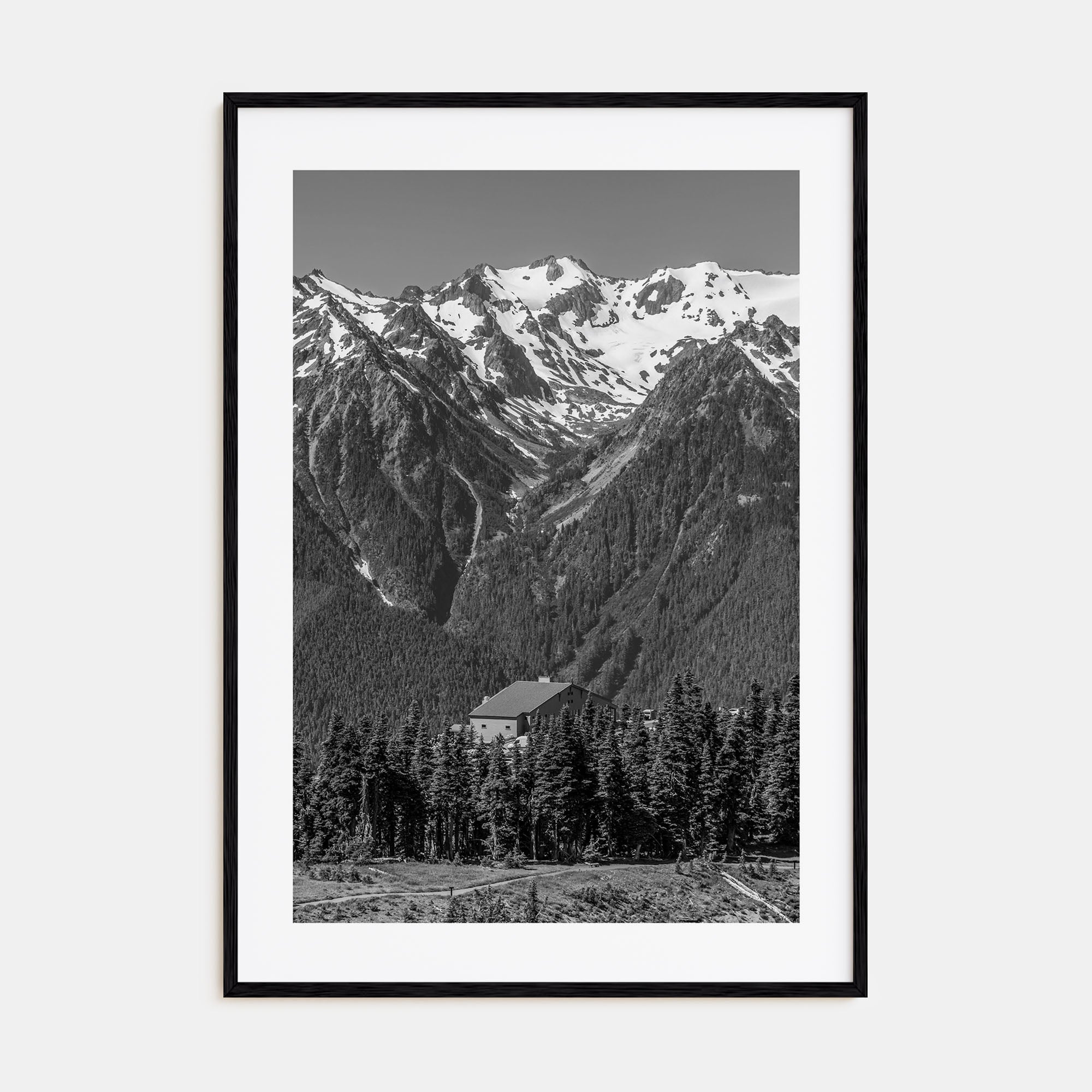 Olympic National Park Photo B&W Poster