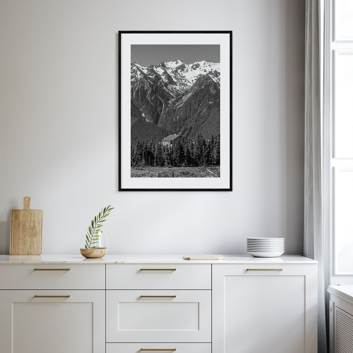 Olympic National Park Photo B&W Poster