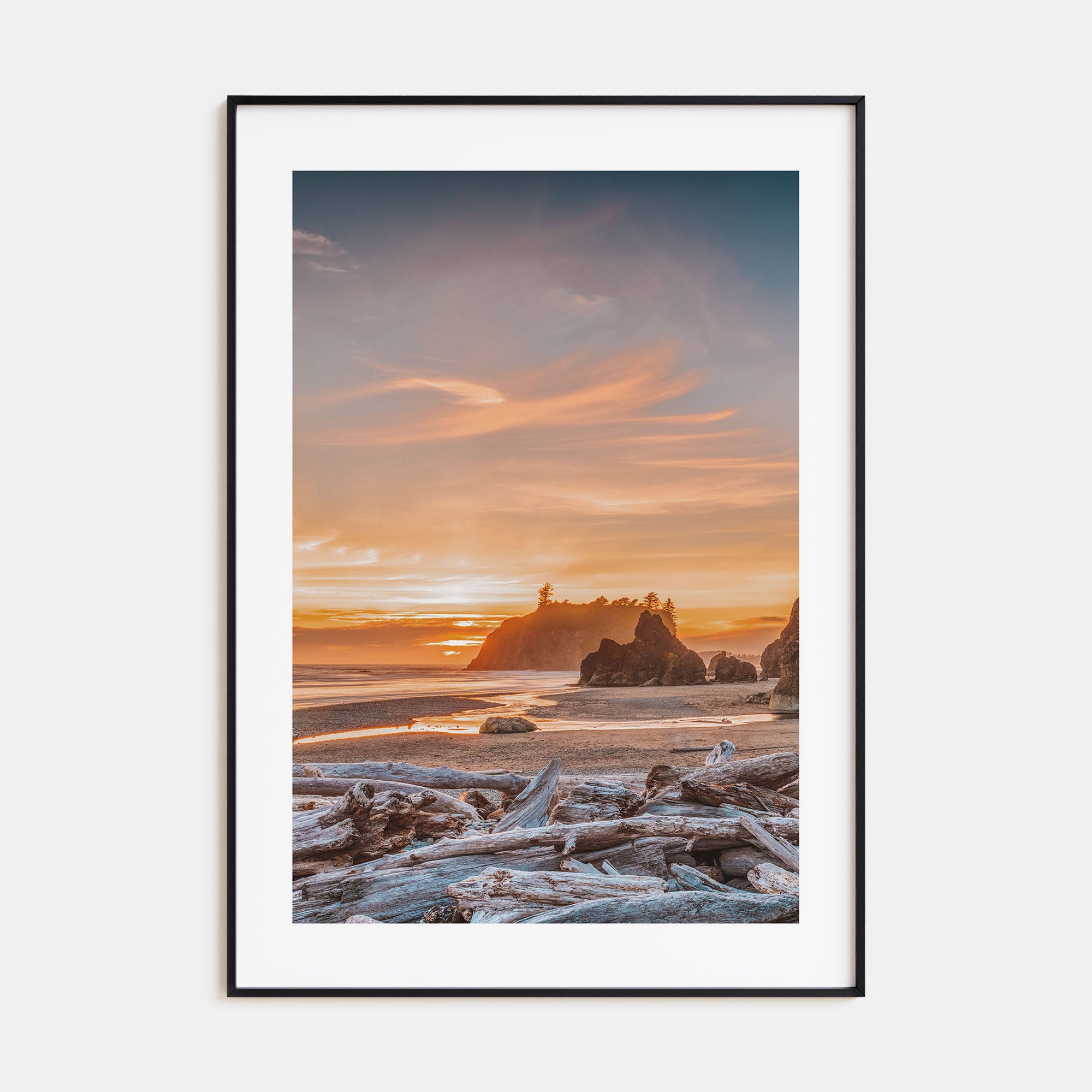 Olympic National Park Photo Color Poster