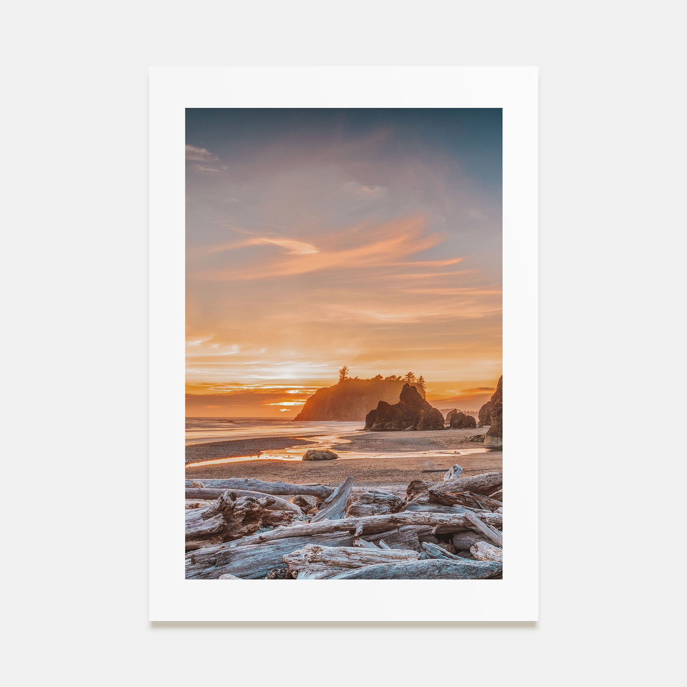 Olympic National Park Photo Color Poster