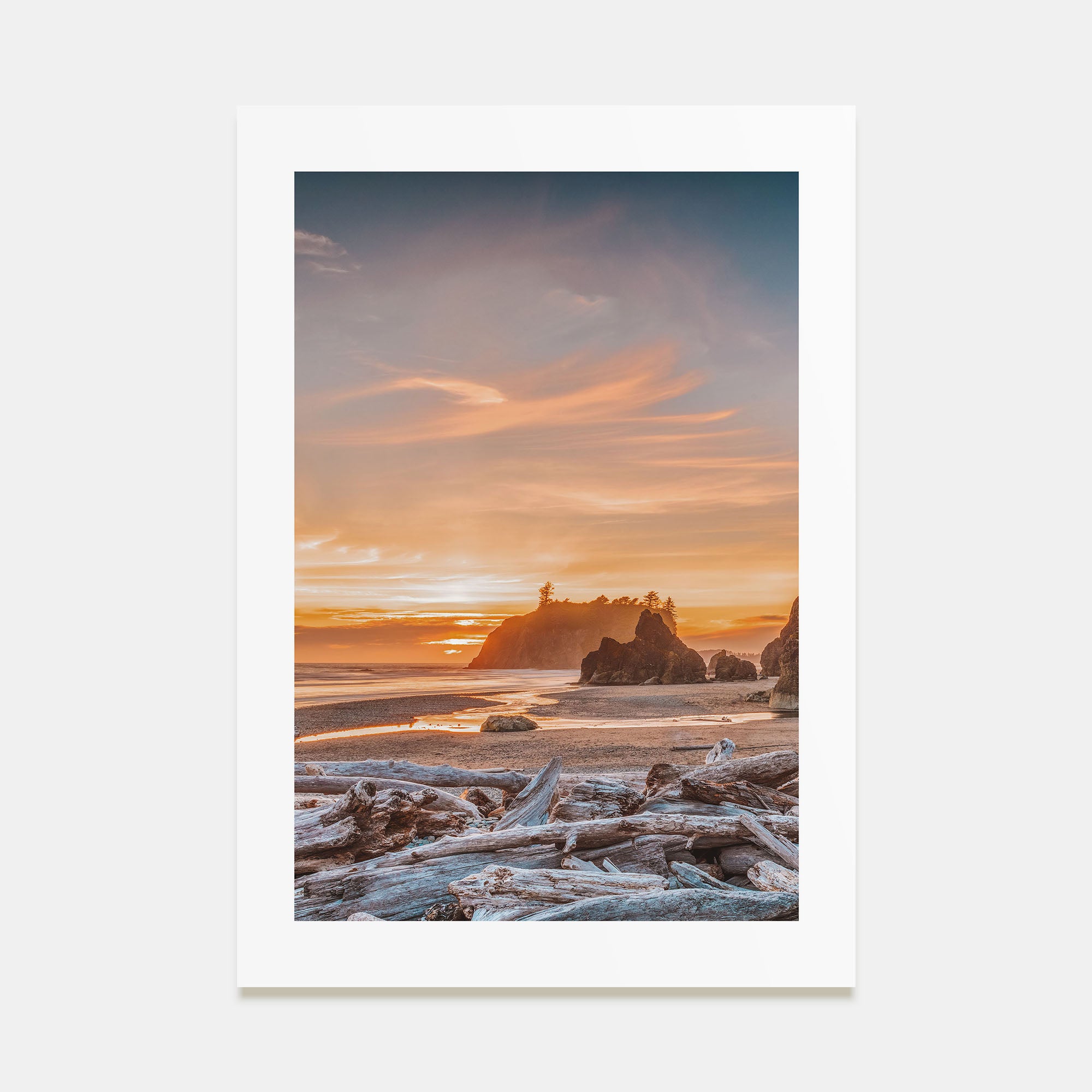 Olympic National Park Photo Color Poster