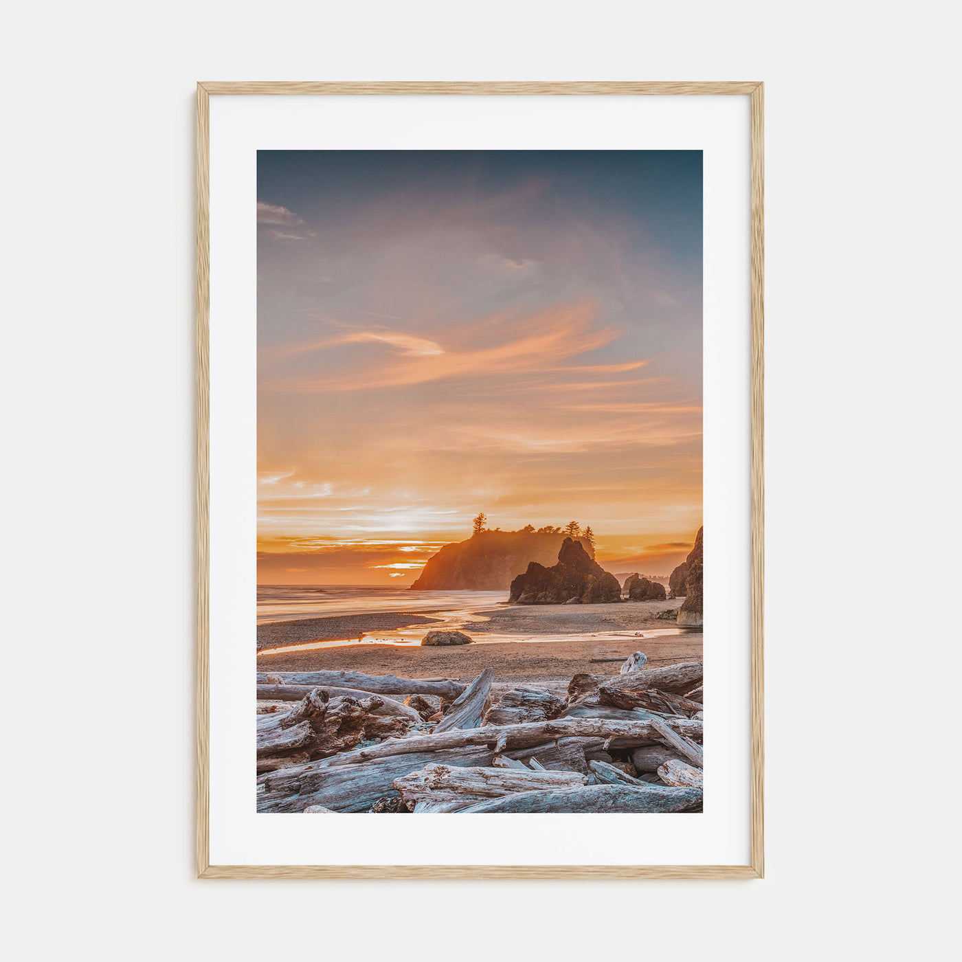 Olympic National Park Photo Color Poster