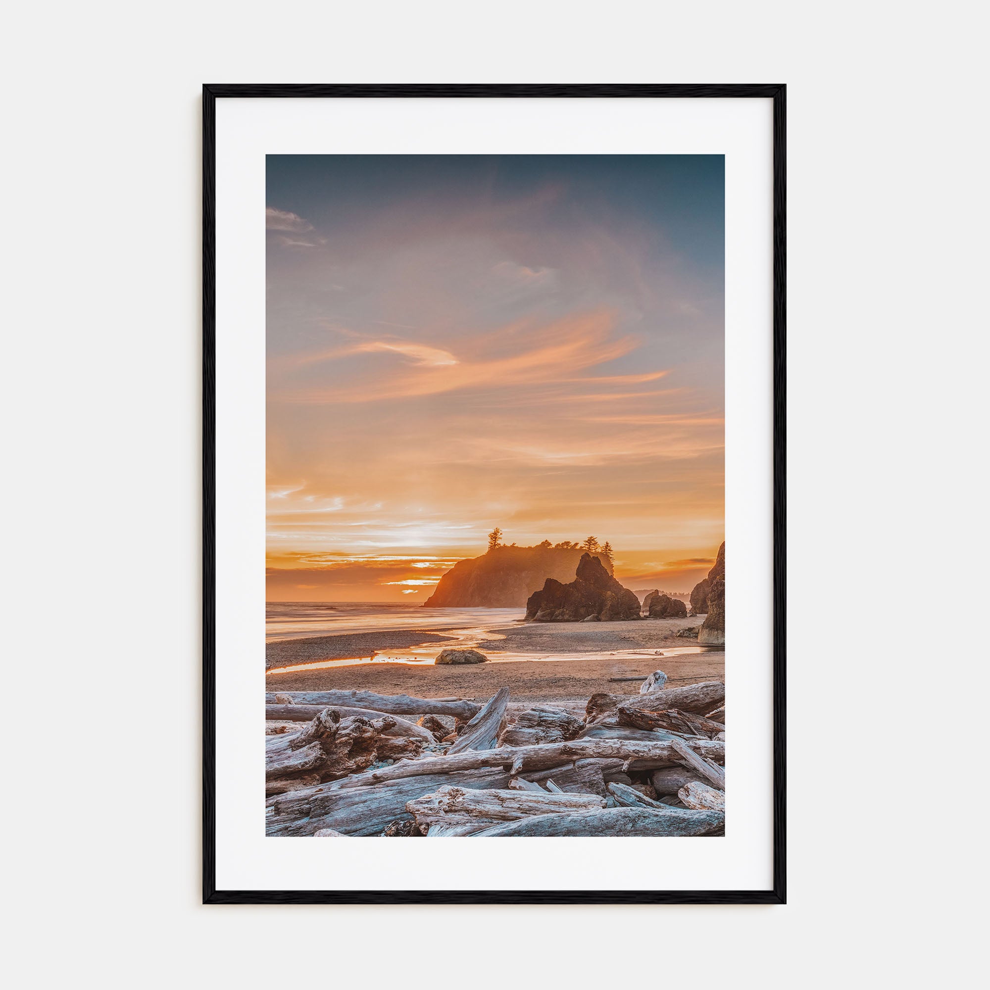 Olympic National Park Photo Color Poster