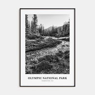 Olympic National Park Portrait B&W Poster