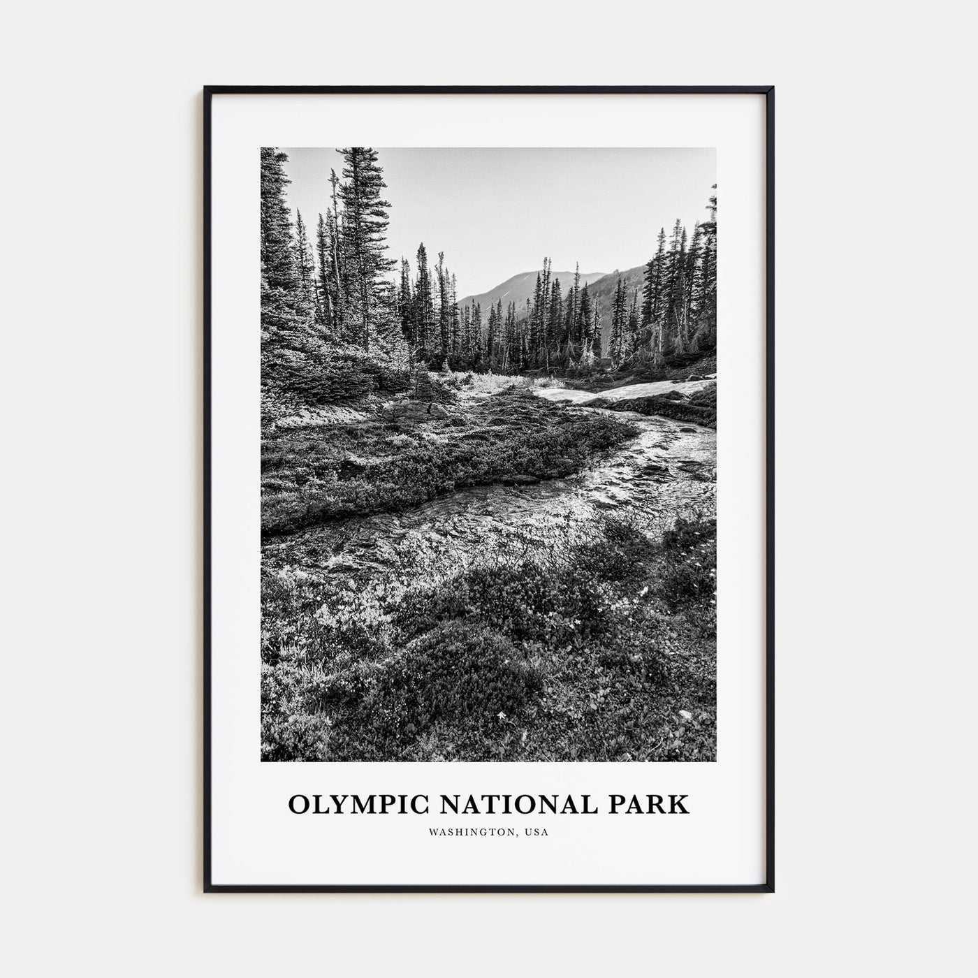 Olympic National Park Portrait B&W Poster