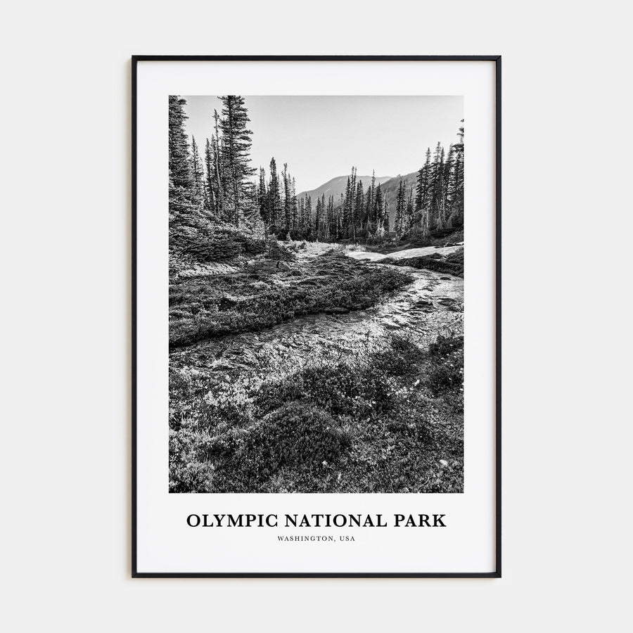 Olympic National Park Portrait B&W Poster