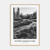 Olympic National Park Portrait B&W Poster