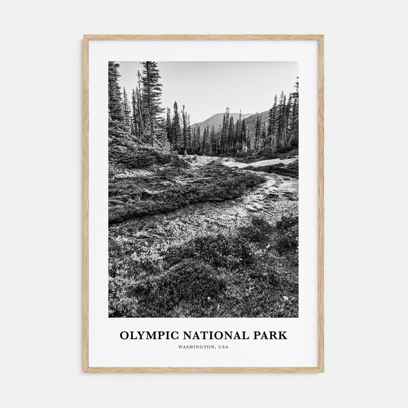 Olympic National Park Portrait B&W Poster