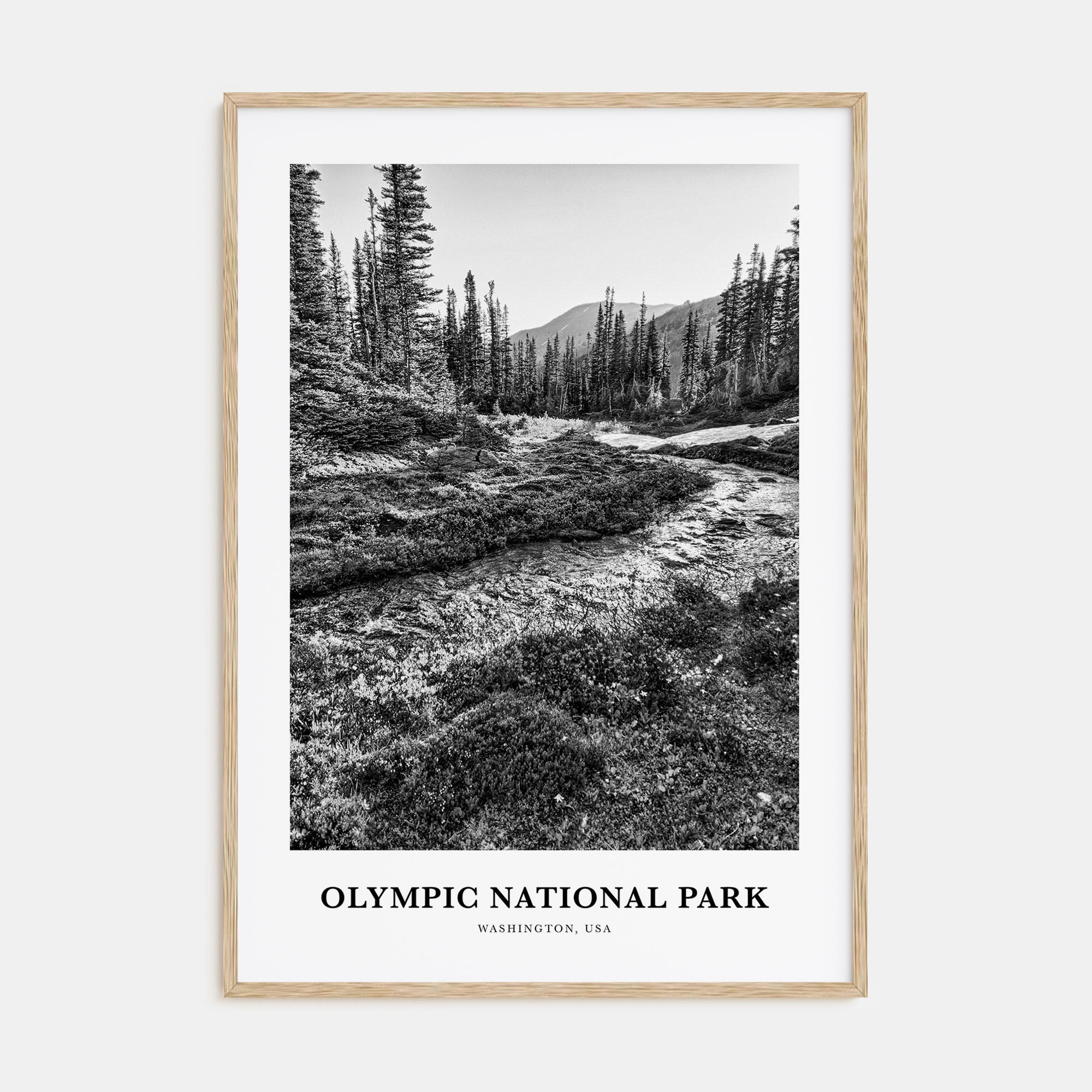 Olympic National Park Portrait B&W Poster